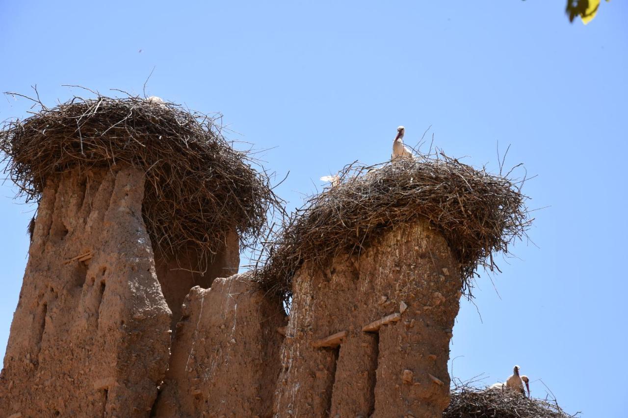 Maison D'Hotes Dar Afra Ait Ziri Exteriör bild
