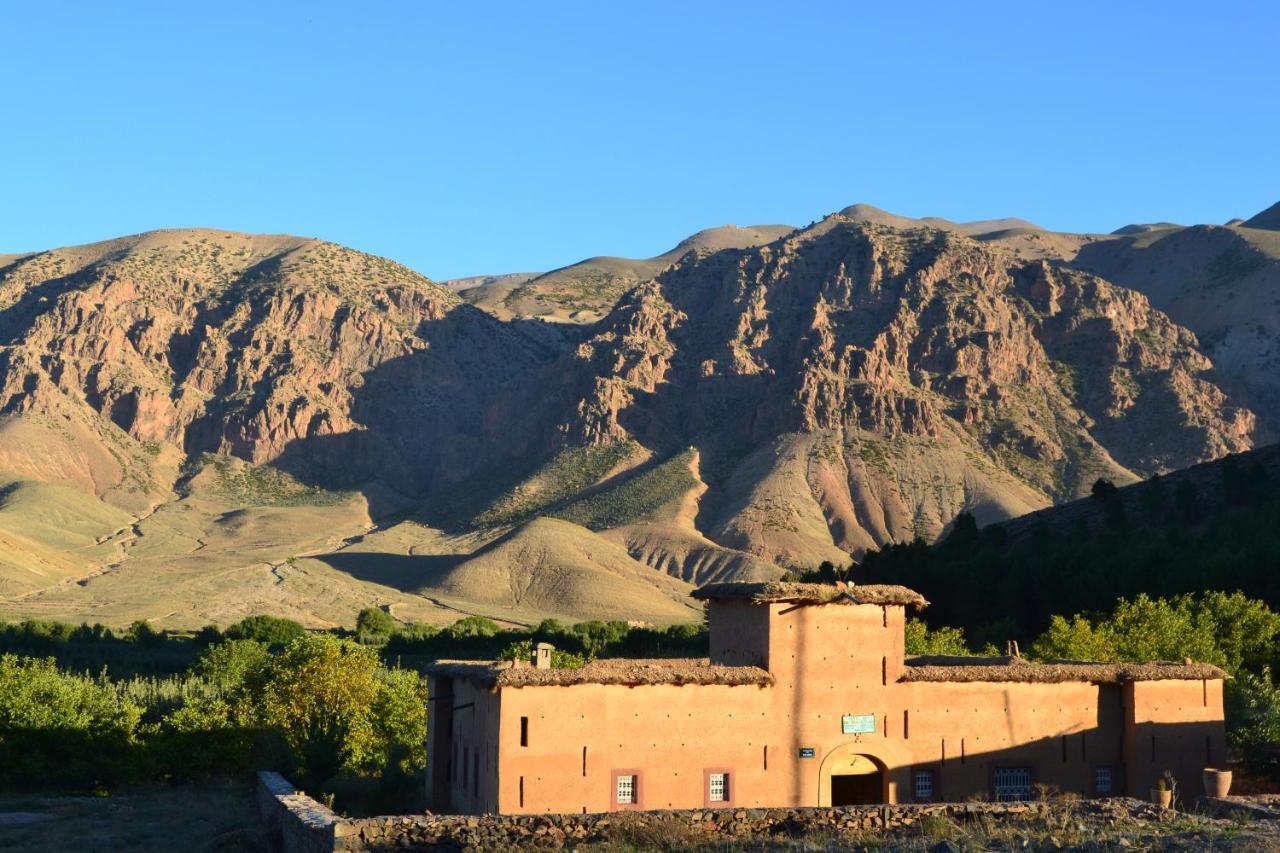 Maison D'Hotes Dar Afra Ait Ziri Exteriör bild